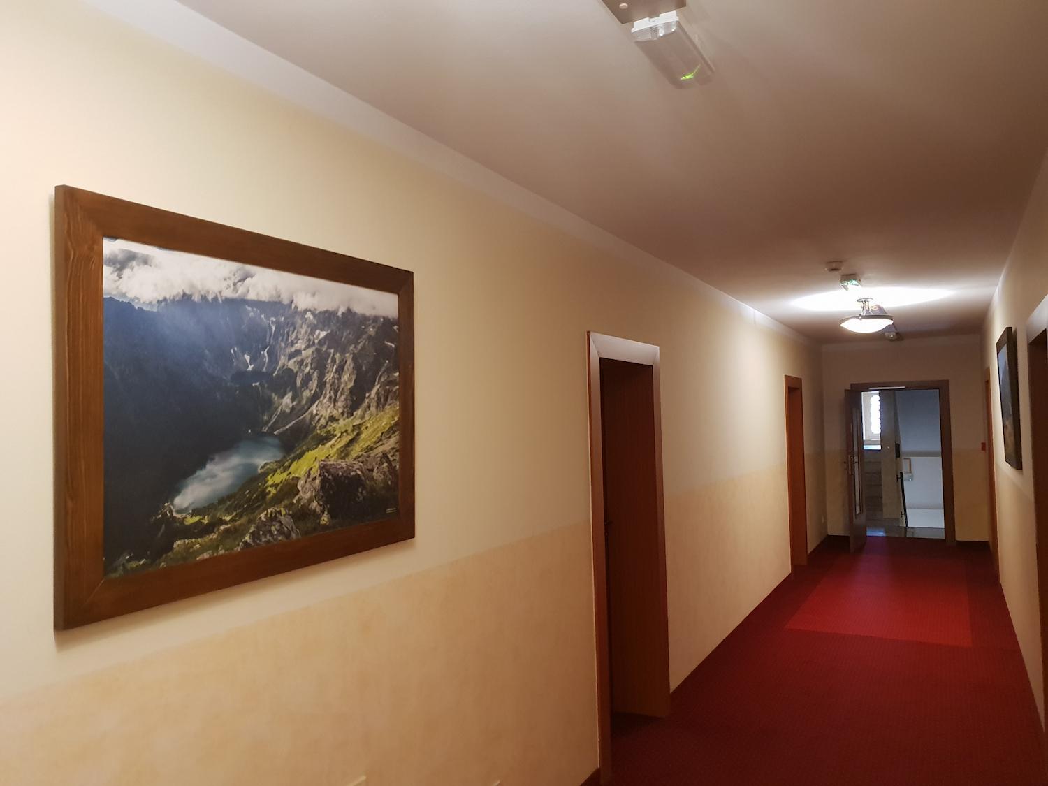 Osrodek Ski Suche & Zakopane 포로닌 외부 사진